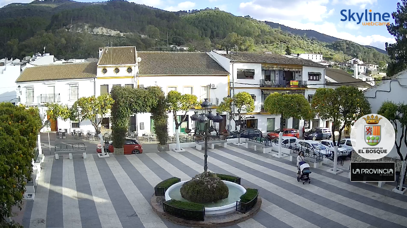 webDirecto